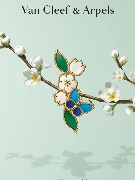 Van Cleef & Arpels Брошь #1