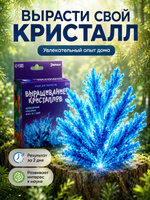 Набор для выращивания больших кристаллов, кристаллы "Нептуна", вырасти сам