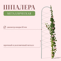Шпалера для вьющихся растений/Опора садовая для растений и цветов, 170 * 34 * 1 см, металл, зелёная, "Буби"