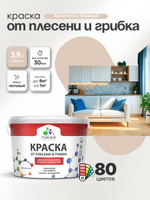 Влагостойкая краска от плесени и грибка Malare Professional акриловая для кухни, ванной комнаты, для сырых помещений, быстросохнущая без запаха, абсолютный бежевый, (2.7л - 3.9кг)