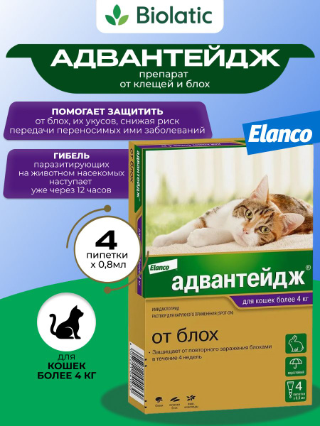 Кеудесі әдемі сымбатты қыздар видео