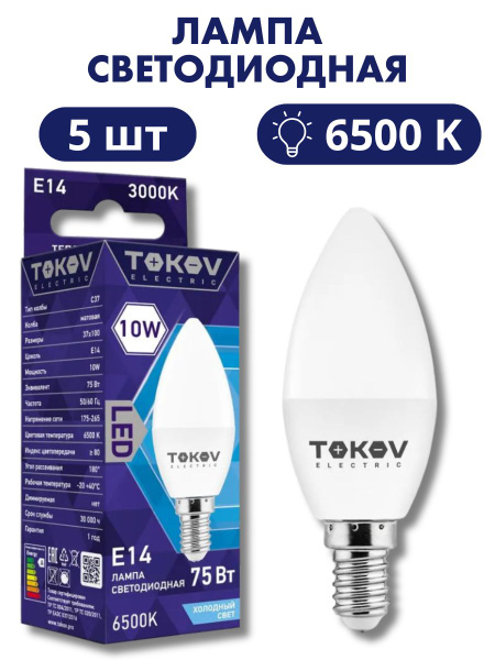10-37-6500-14-176-264-tokov-electric-5