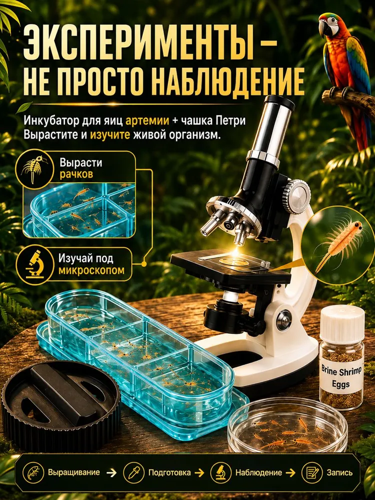 Микроскоп детский школьный набор для опытов и экспериментов в кейсе с увеличением до 1200х, подарок детям, вариант, фото 2