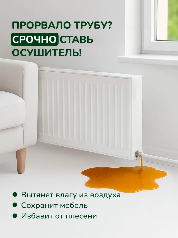 Осушитель воздуха для квартиры, дома, вариант, фото 3