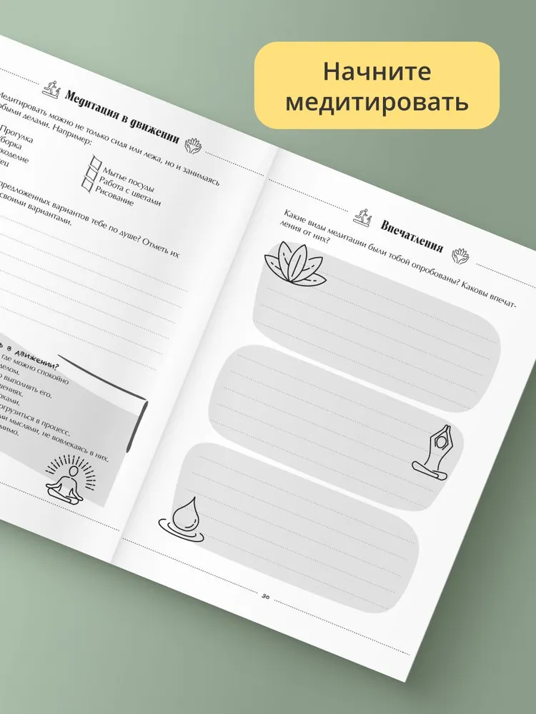 Физическое и эмоциональное равновесие. Дневник наблюдений. (обложка дизайн), вариант, фото 3