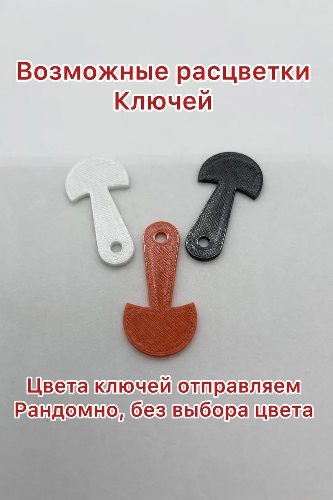 Ключ для тележки супермаркета, вариант, фото 3