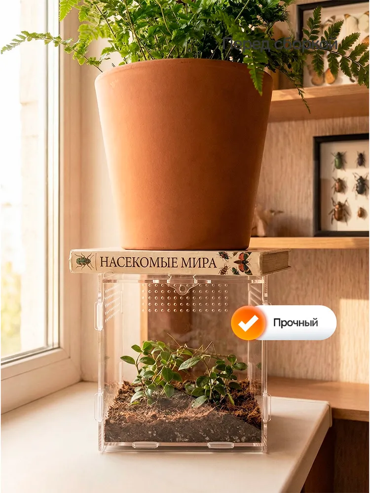 Акриловый террариум для растений, насекомых 20х12х12 см, 20x12x12 см, фото 3