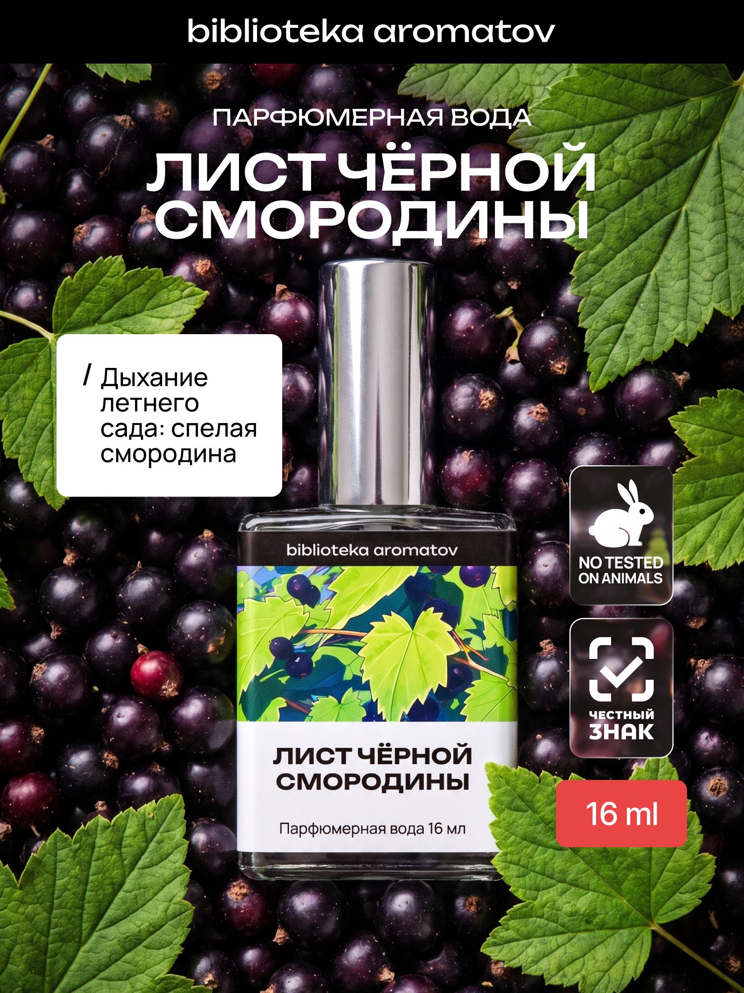 Парфюмерная вода женская и мужская Лист черной смородины 16 мл, Библиотека ароматов