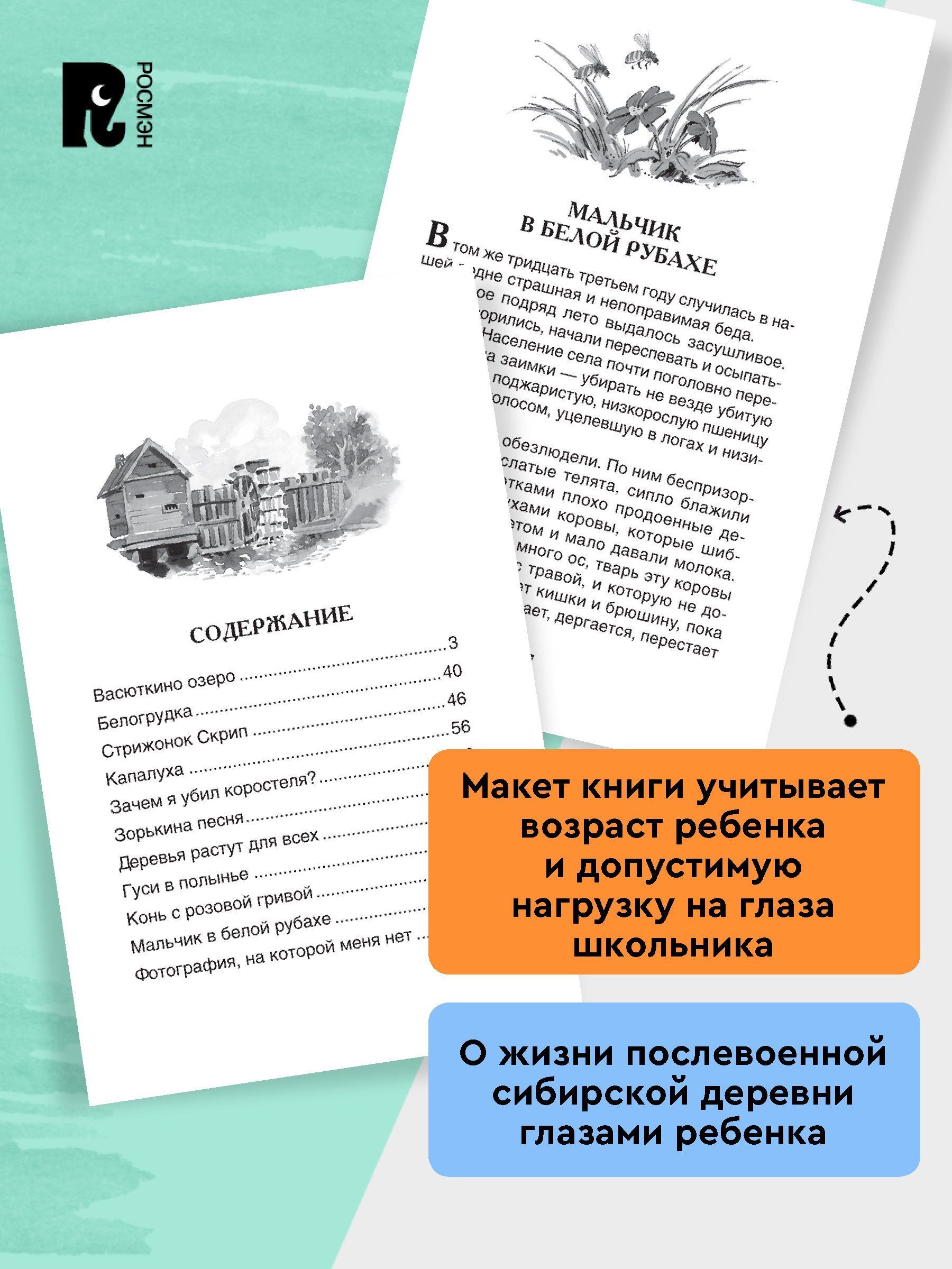 Виктор Астафьев. Рассказы | Viktor Astafyev. Stories - Ozon image 3