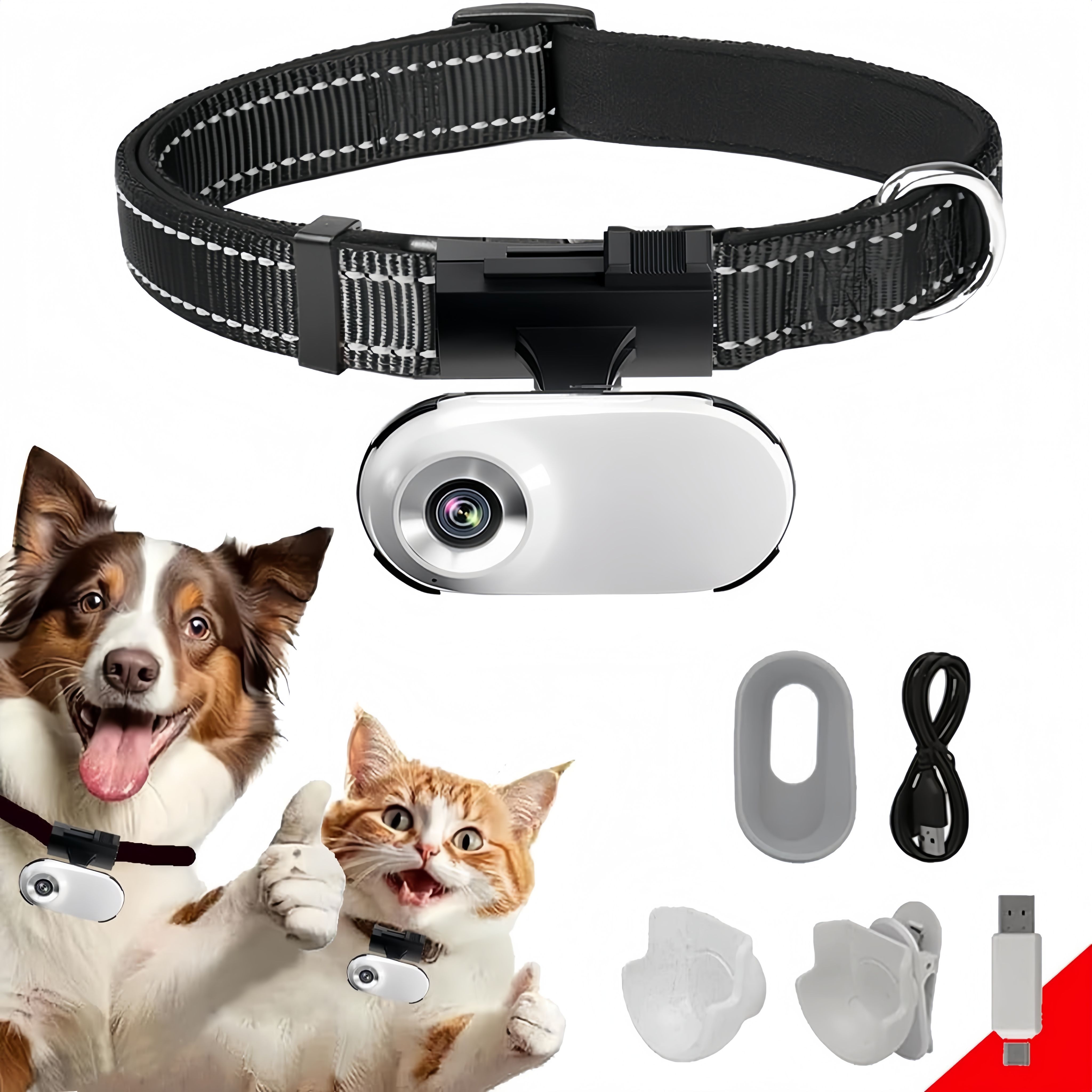 Juneau Inventor Debuts Pet-Perspective Zoom Cam