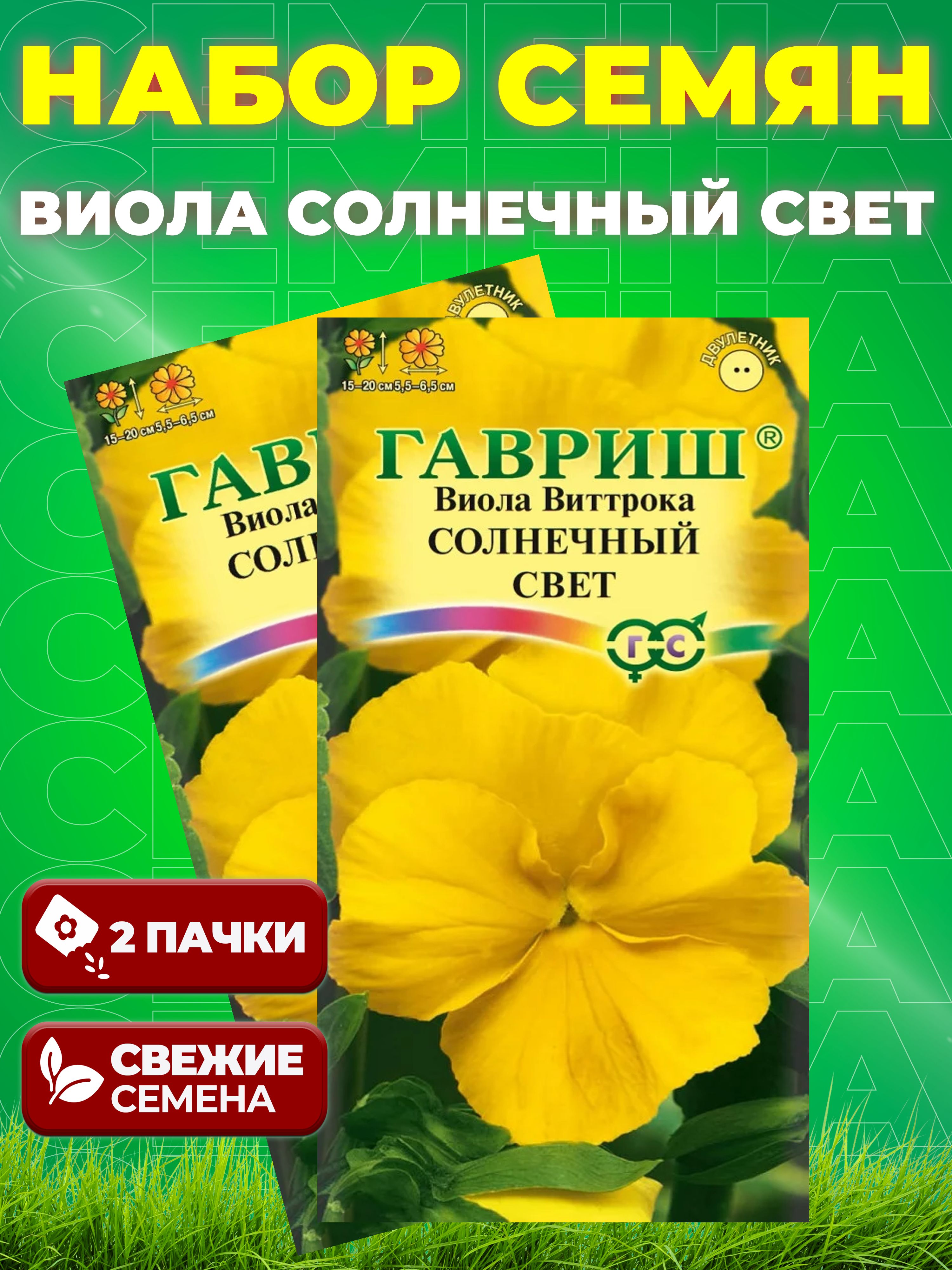 Виолла - солнечный день - 40 фото Виолла - солнечный день - 40 фото