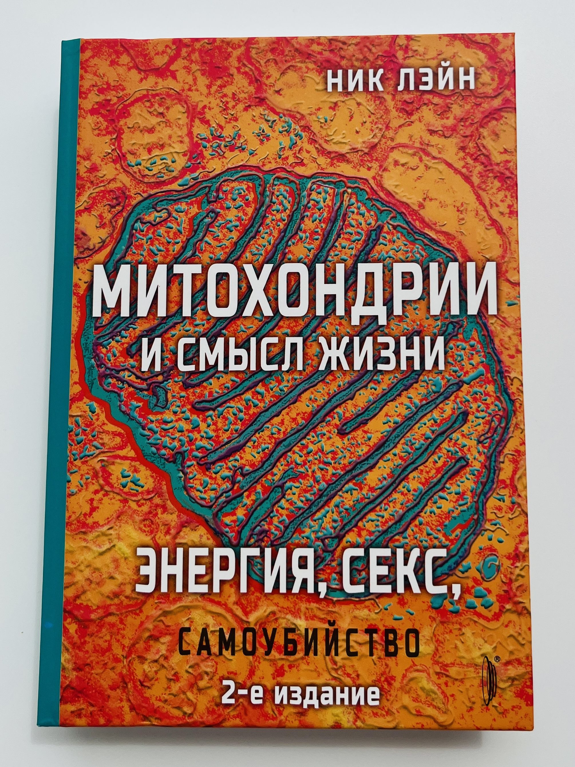 Бірінші анальный порно Дәстүрлі емес HD порно