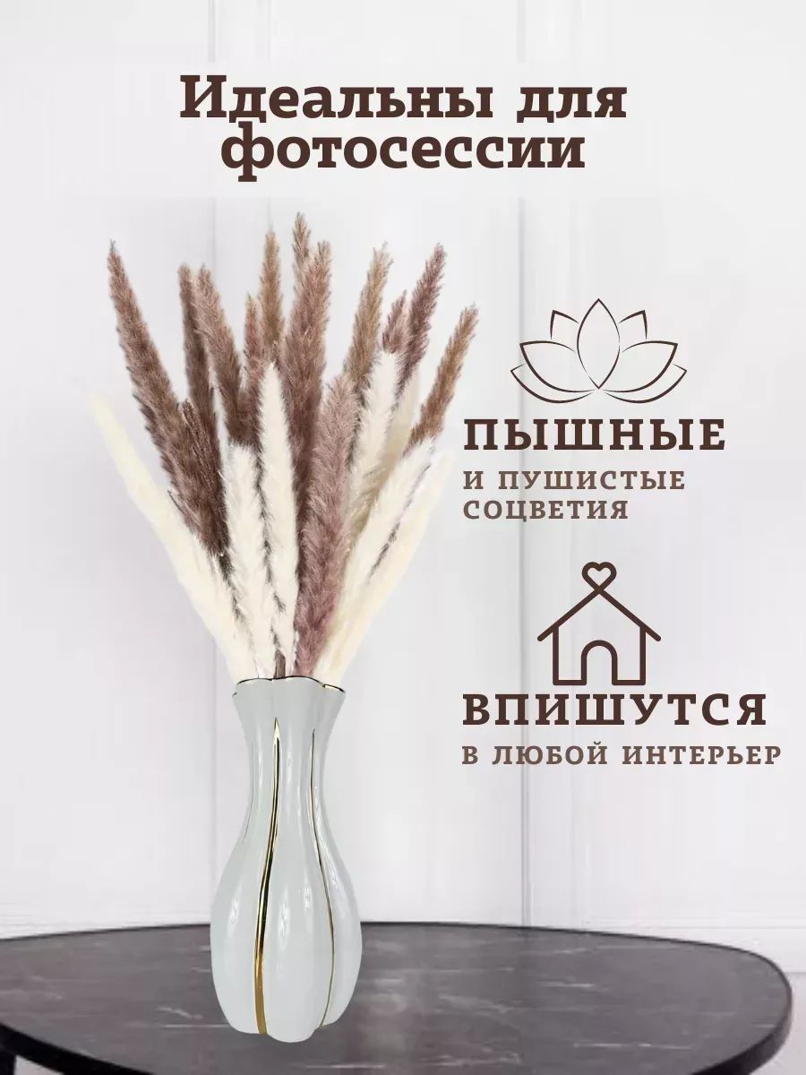 Кортадерия 15 стебли 50-70cm 8 Коричневый+7 белый арт.SJ-6