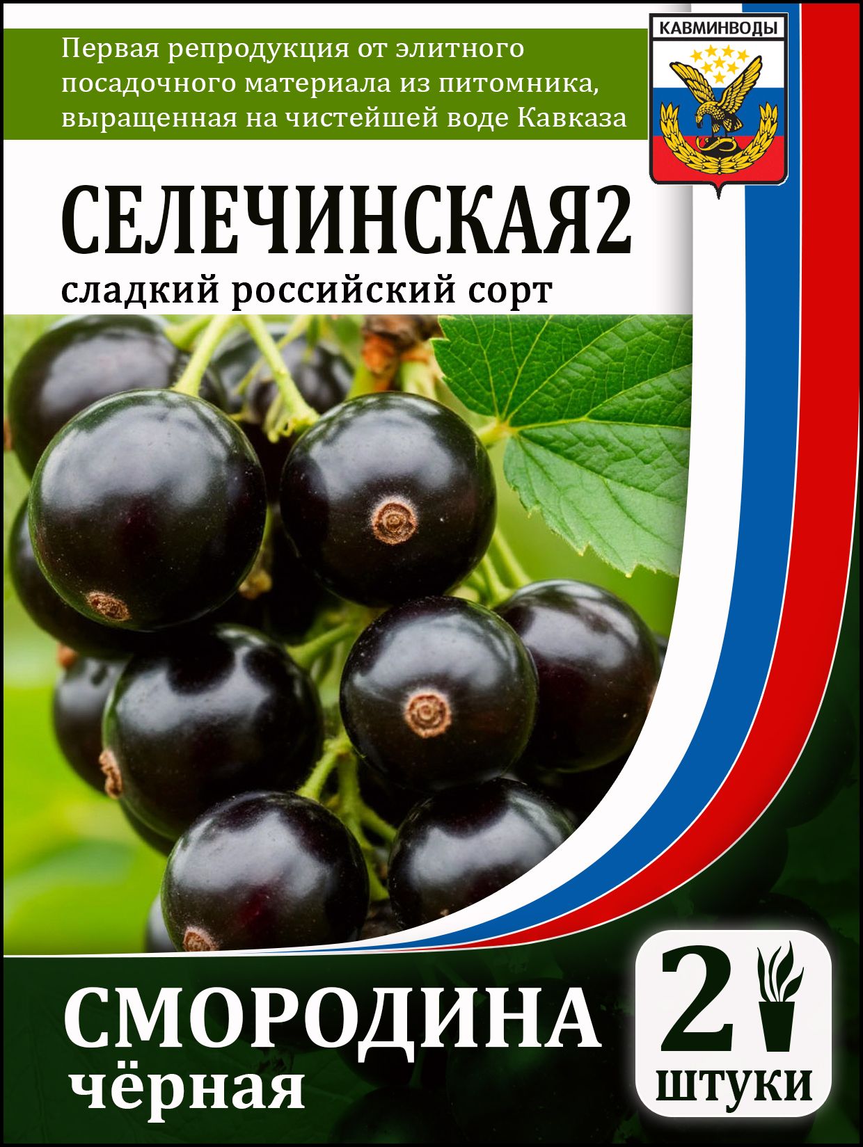 2 2
