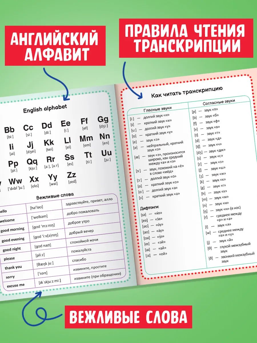 Словарь для записи английских слов, Буква-Ленд, "Кот", тетрадь словарь | Bukva-Lend My English Vocabulary Notebook - Ozon image 1