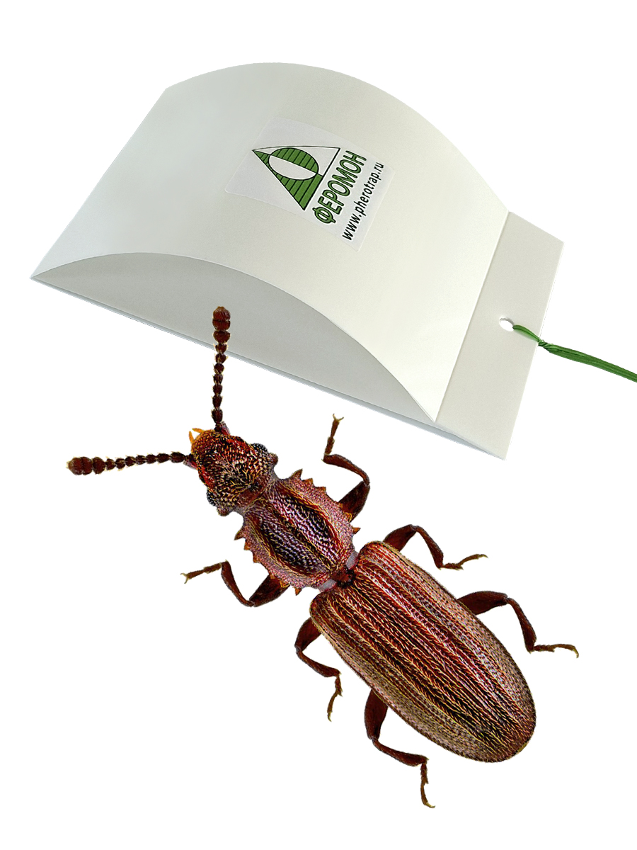 Феромоннаяловушка/средствоотсуринамскогомукоеда1шт.