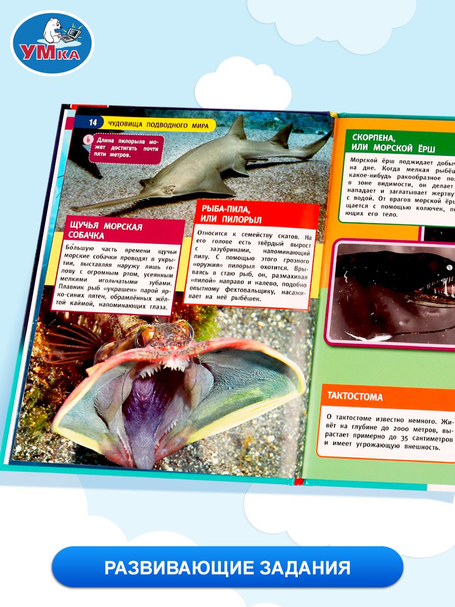 Энциклопедия для детей Подводный мир Умка | Reference Book - Ozon image 3
