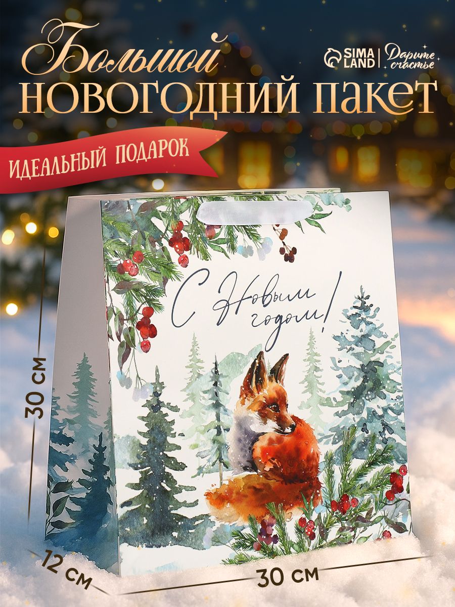 Пакет новогодний подарочный, 30 х 30 х 12 см