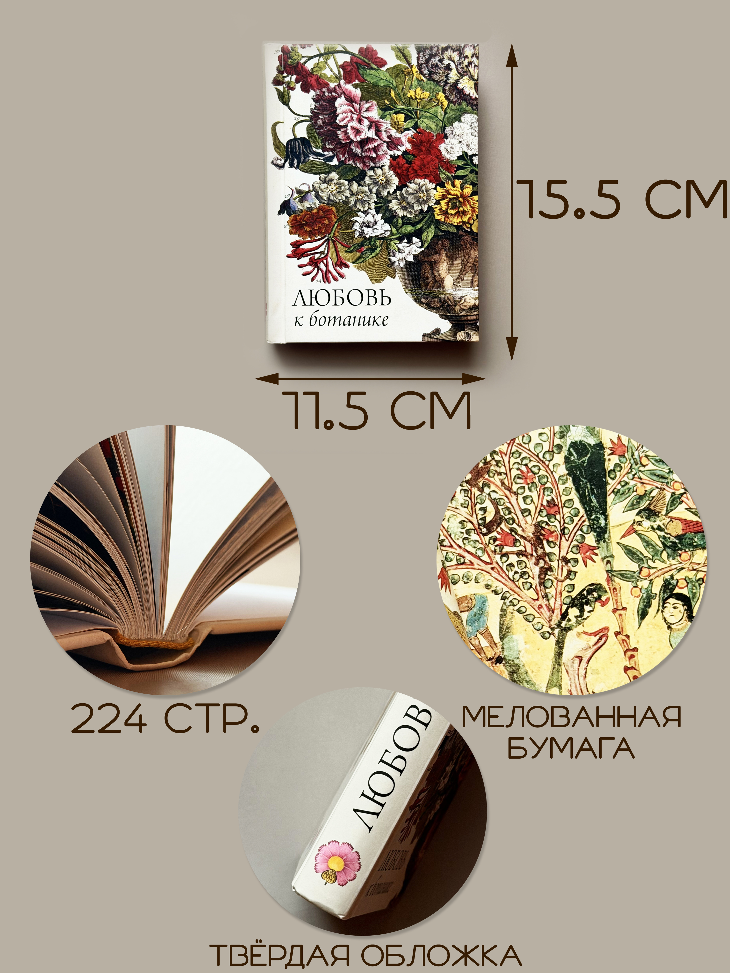 Книга Любовь к ботанике | The Love of Botany - Ozon image 2
