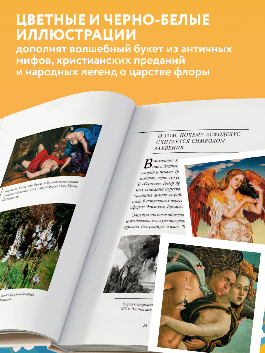 Ботанические мифы | Botanical Myths - Ozon image 2