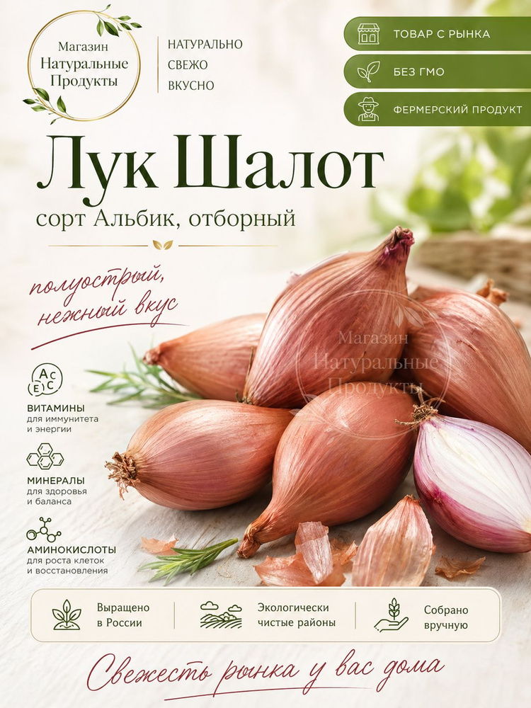 Лук шалот свежий,1 кг нежный, сладкий, для соусов и салатов #1