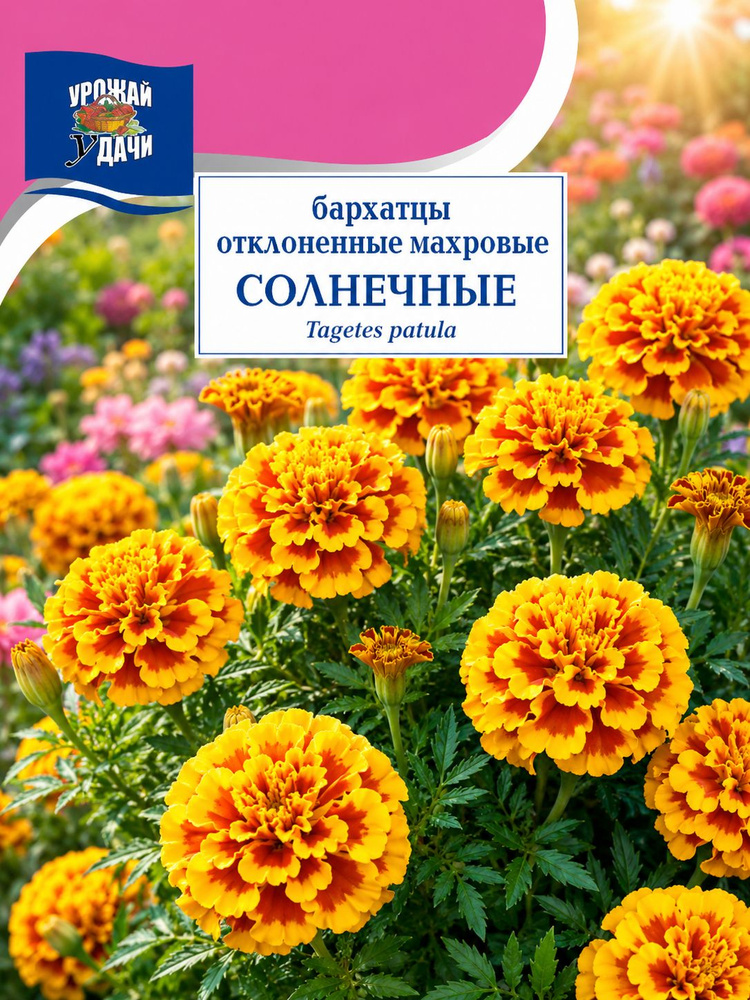 Бархатцы отклонённые СОЛНЕЧНЫЕ (Семена Урожай Удачи, 0,3 г семян в упаковке) #1