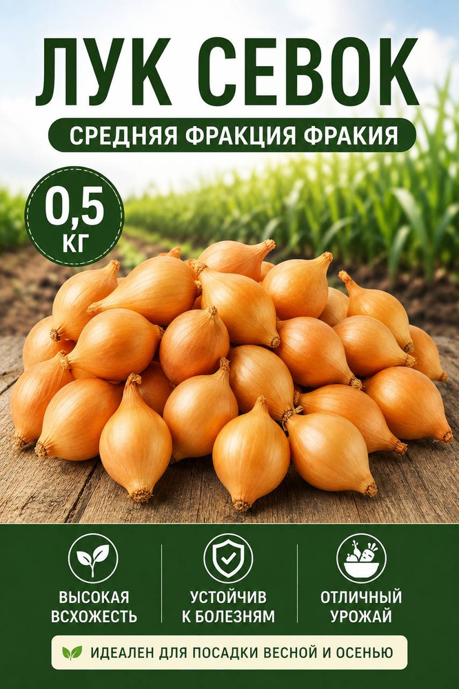 Луковицы 0,5 кг #1