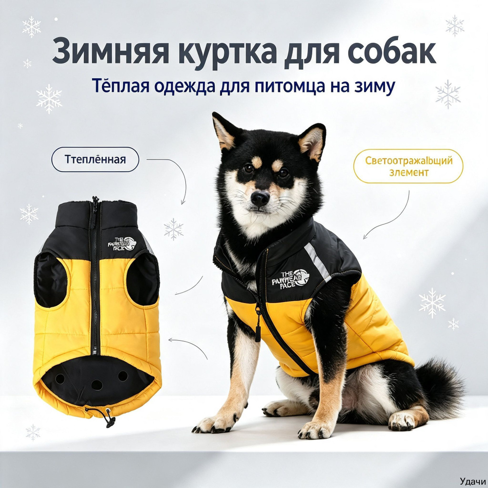 Одежда для животных #1
