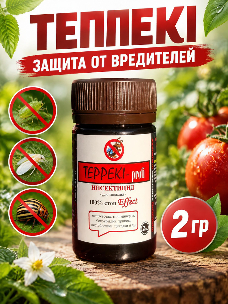 Типпеки 2гр #1