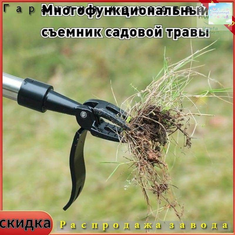 Кустодер чугун #1