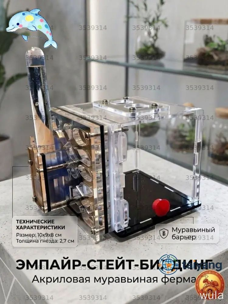 Муравьиная ферма #1