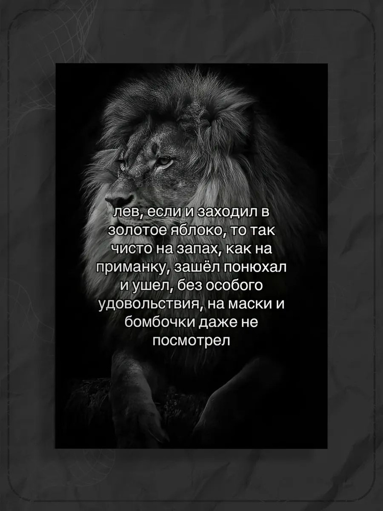 Постер А3 "Мем лев" #1