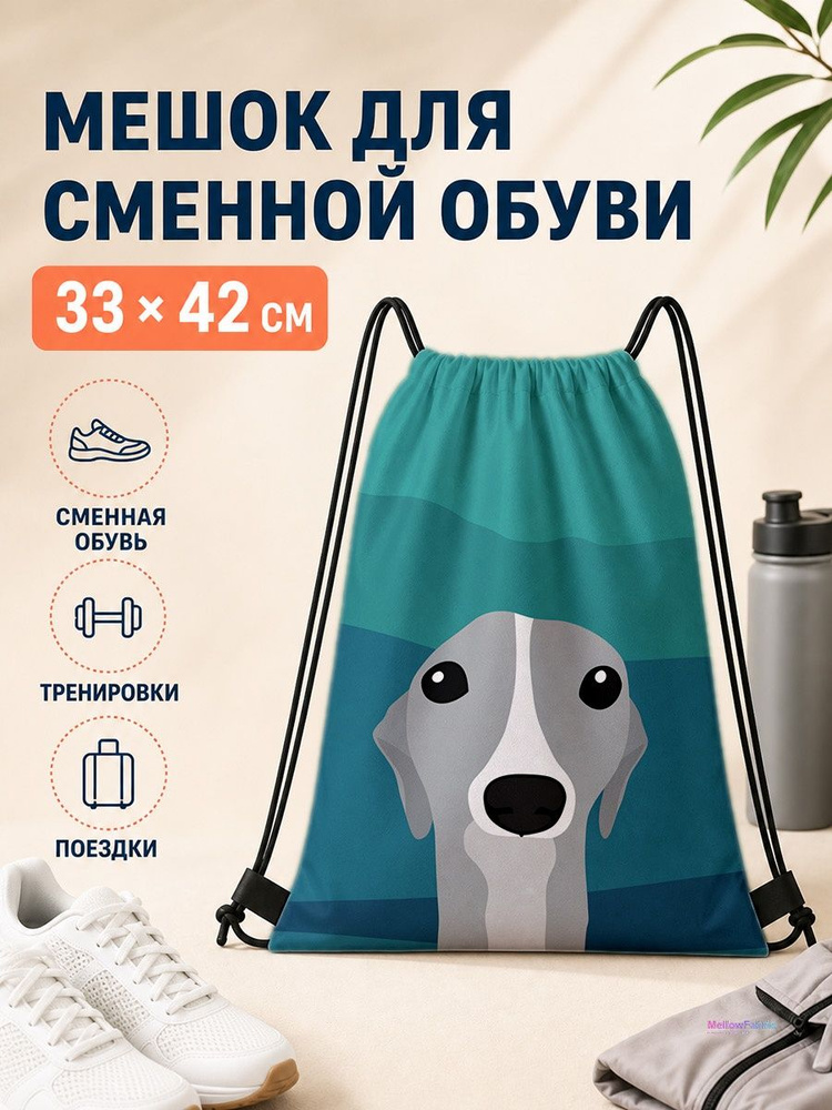Мешок для сменной обуви с корги 33х42 см #1