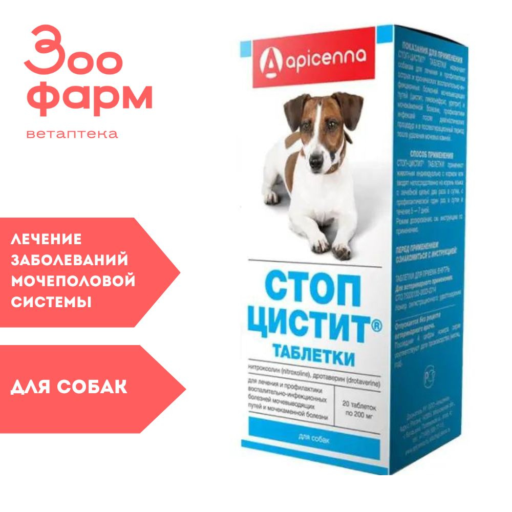 Стоп-Цистит для собак с дротаверином, 20 табл - купить с доставкой по  выгодным ценам в интернет-магазине OZON (1279136569)