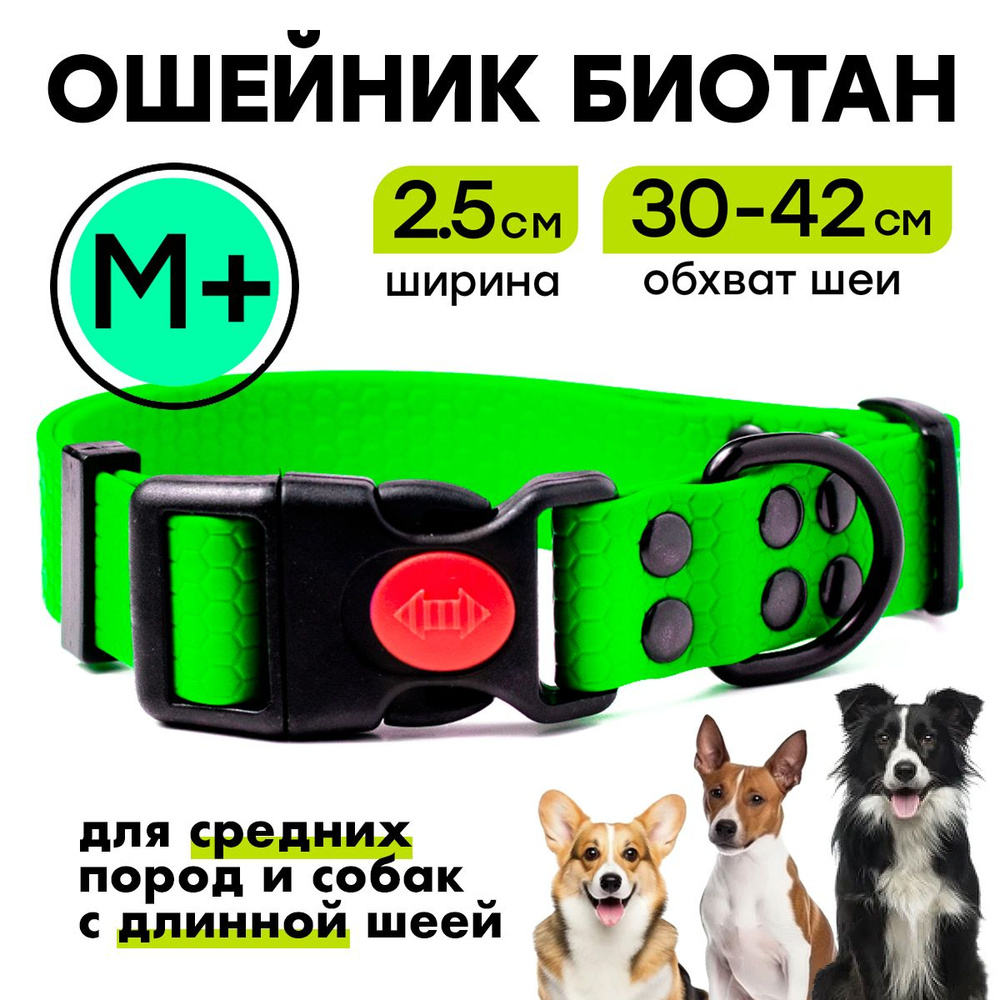 Ошейник из биотана 30-42 см (M+), 25 мм, Woofy "Iron", водостойкий, для небольших и средних собак, зеленый #1