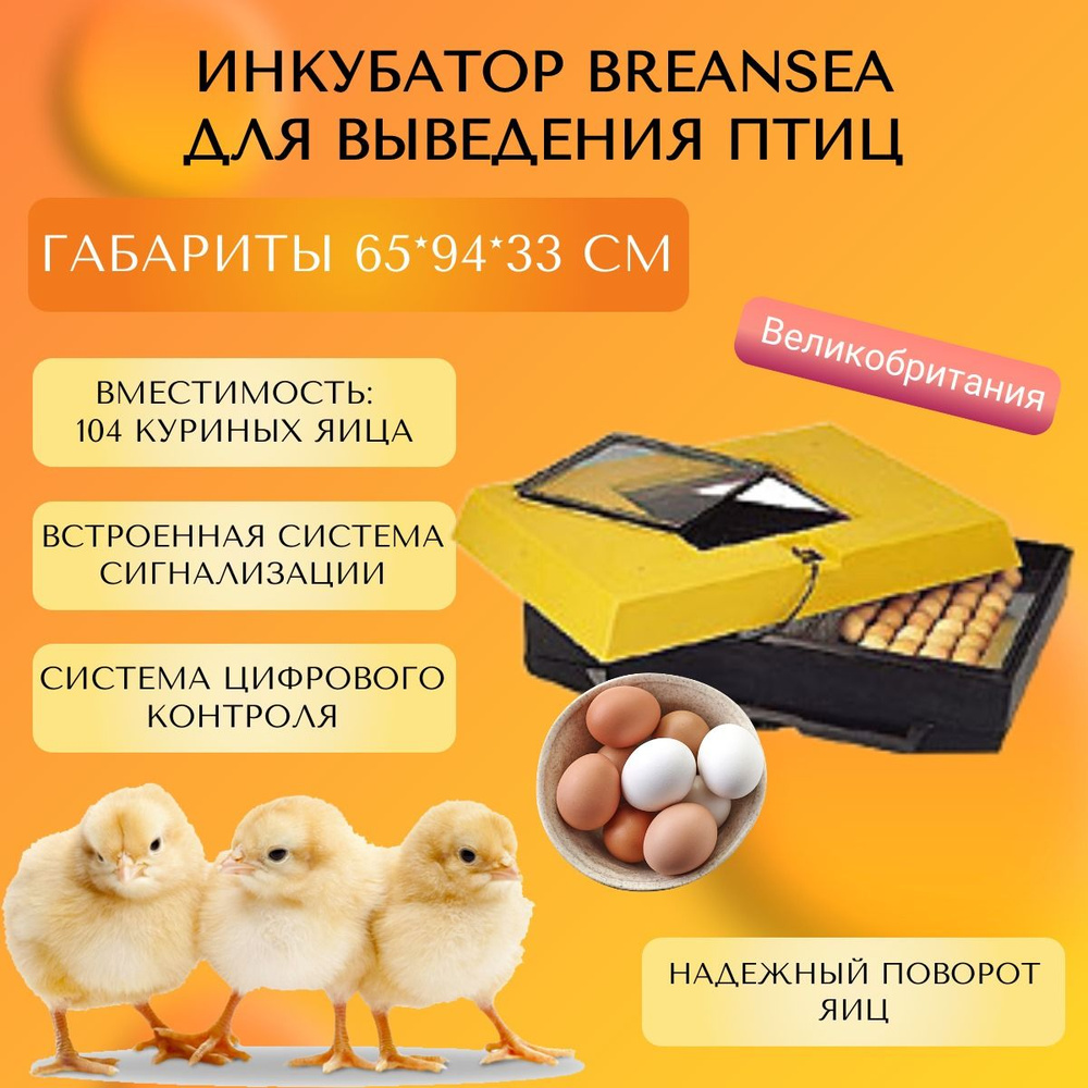 Инкубатор Brinsea Hatchmaker А для выведения птенцов рассчитан на 104 яйца  - купить с доставкой по выгодным ценам в интернет-магазине OZON (271046930)