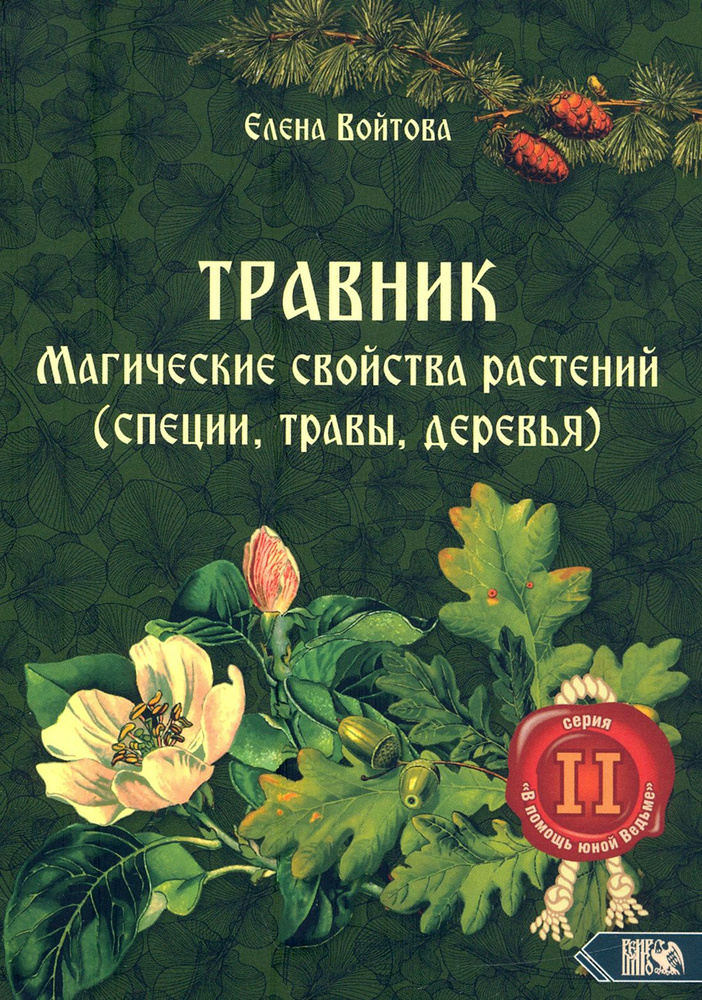 28 трав для магии денег — ритуалы и заговоры для достижения успеха и процветания