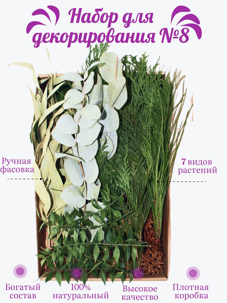 Набор для декорирования №8, Кипарис, Сосна, Эвкалипт серебряный ...