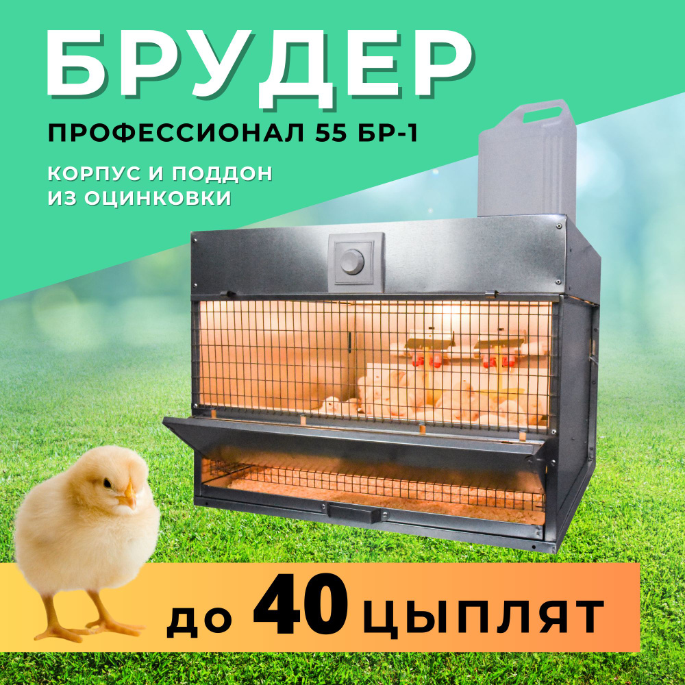 Брудер для цыплят, бройлеров, перепелят, утят "Профессионал" 55 БР-1 ...