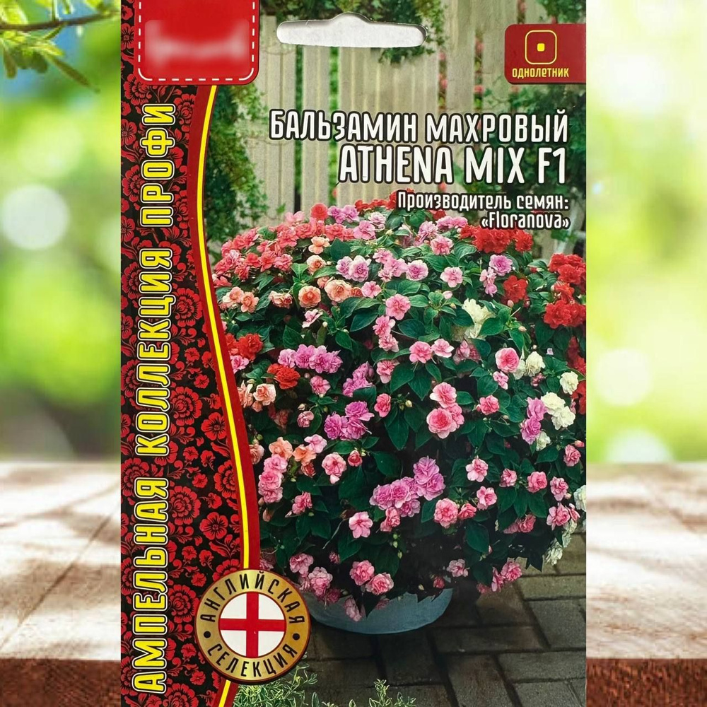 Семена ,1шт #1