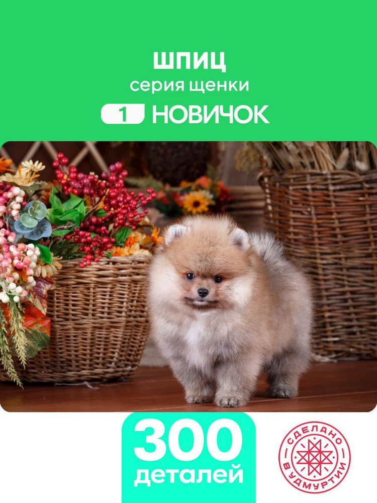 Пазл Шпиц 300 деталей Сложность Новичок #1