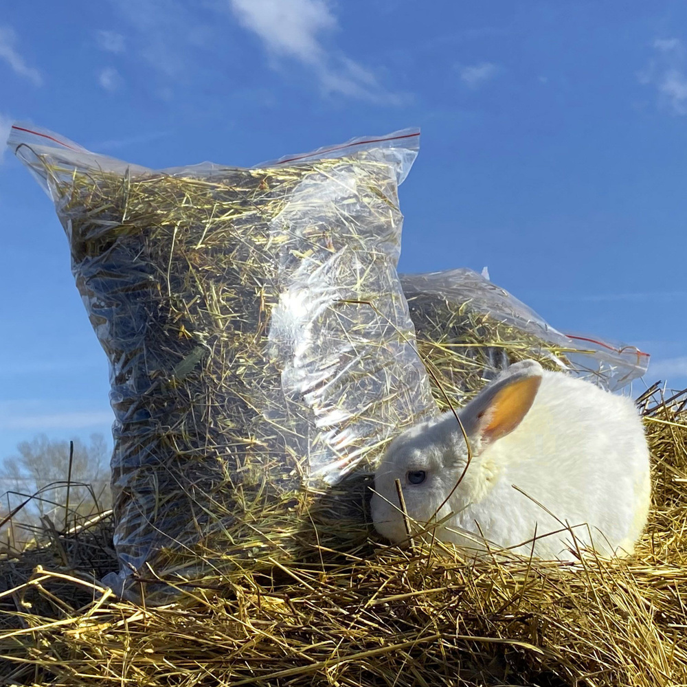 Сено луговое для кроликов и грызунов - купить с доставкой по выгодным ...
