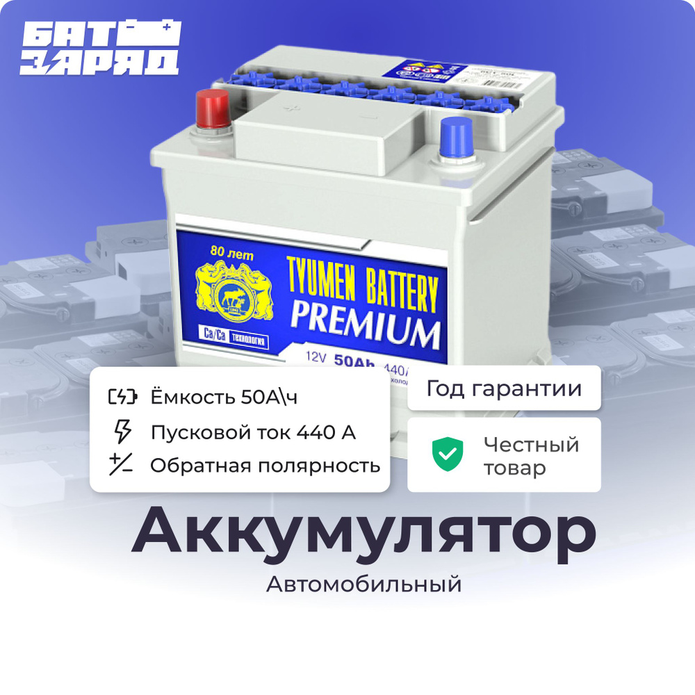 Аккумулятор автомобильный Tyumen Battery 6CT-PREMIUM купить по выгодной  цене в интернет-магазине OZON (1486247416)