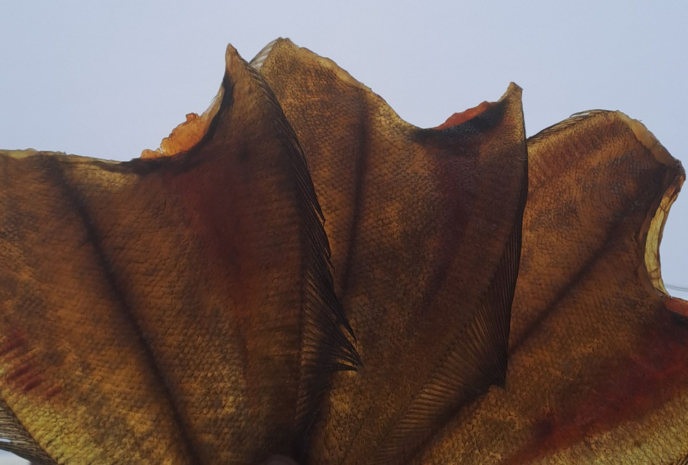 Вяленый мурманский ерш "Отборный", вяленая камбала-ерш, натуральная сушеная рыба  #1