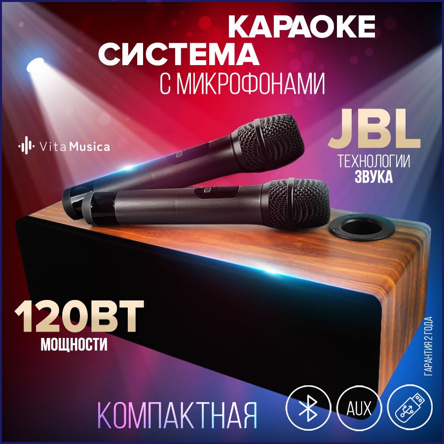 Караоке система для дома с двумя микрофонами Vita Musica - купить с  доставкой по выгодным ценам в интернет-магазине OZON (1281276136)