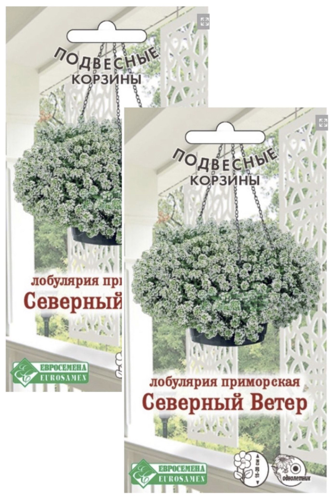 Лобулярия приморская Северный Ветер , 2 пакета, семена 0,01 гр, Евросемена  #1