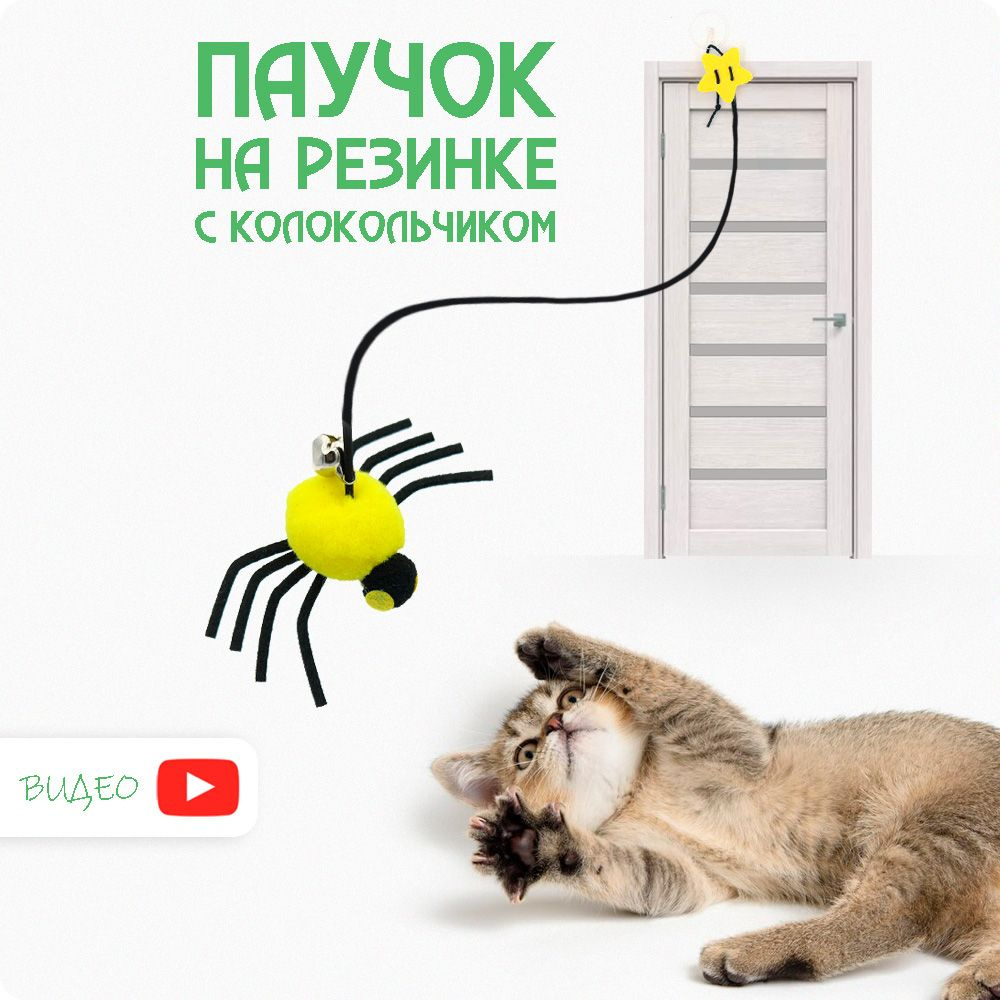 Игрушка ДЛЯ КОШЕК на резинке (2 метра). Интерактивная дразнилка для кошки  Паук. - купить с доставкой по выгодным ценам в интернет-магазине OZON  (1563379667)