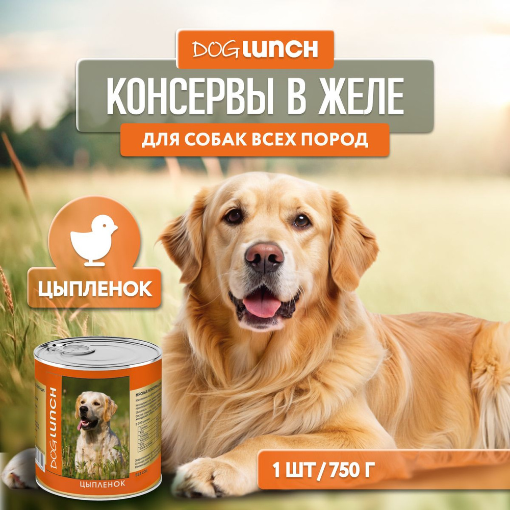 Влажный корм Dog Lunch с цыпленком для собак, 750г #1