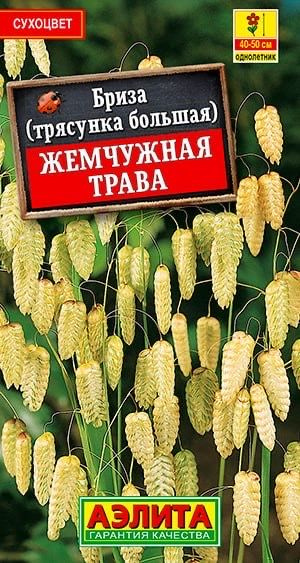 БРИЗА ЖЕМЧУЖНАЯ ТРАВА. Семена. Известен также как слёзы Богородицы , кукушкины слёзки .  #1