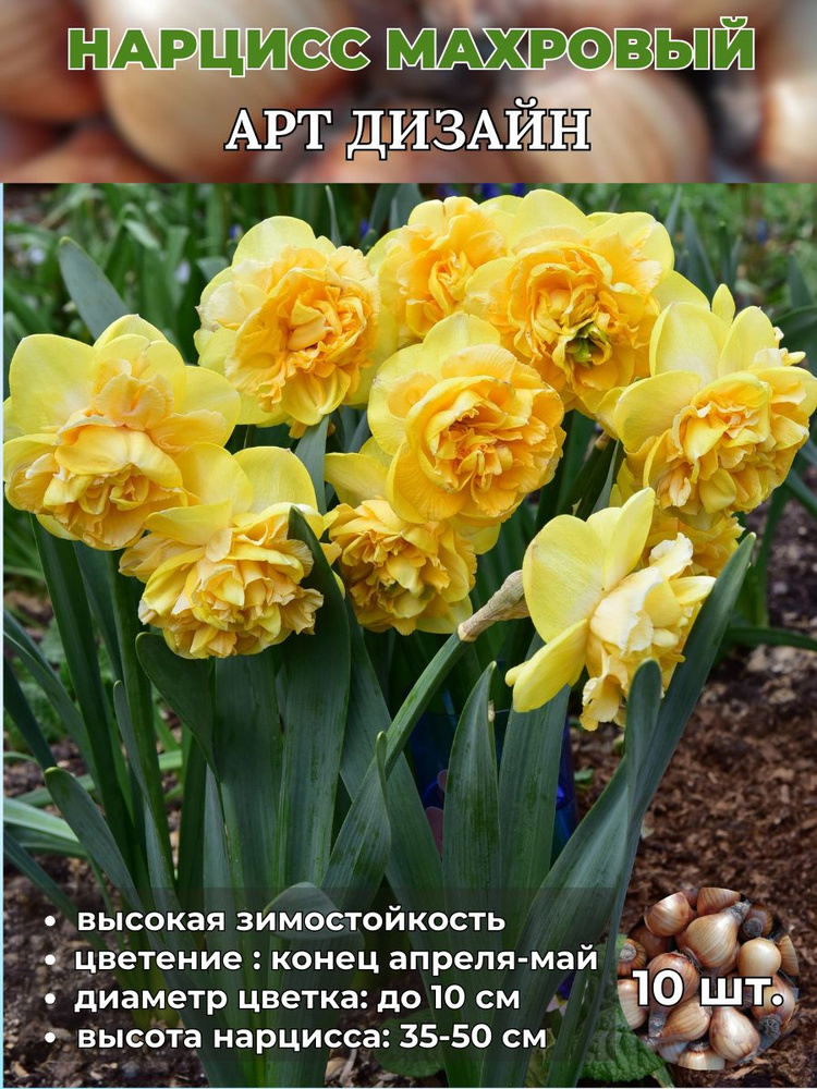 Magic Blooming Garden Луковицы,0.15кг #1